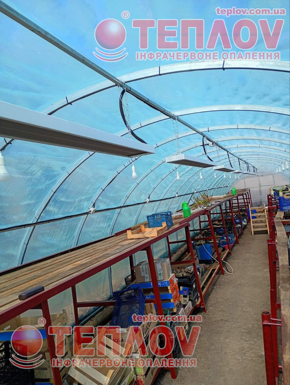 Ceiling heaters Teplov in a greenhouse