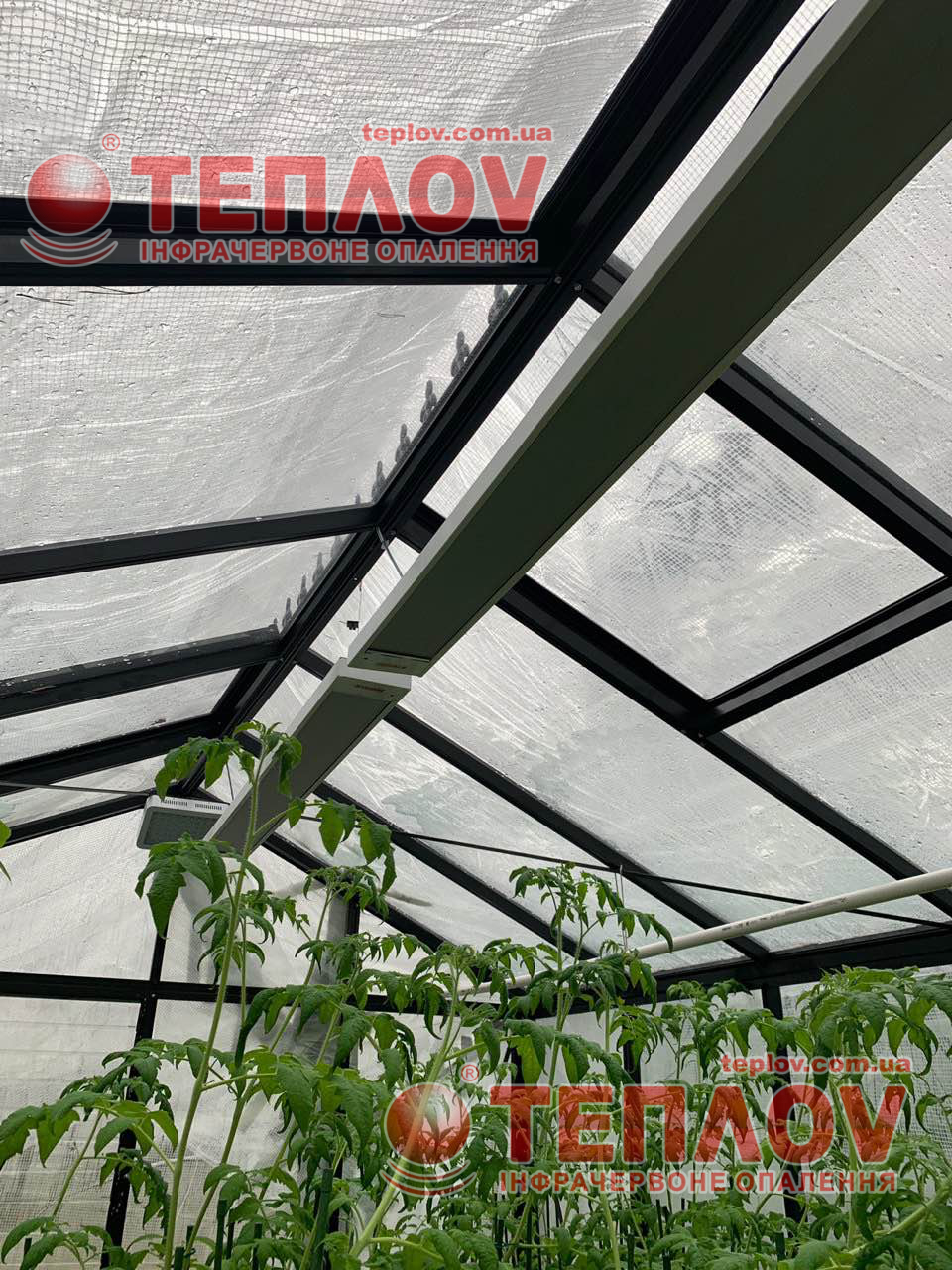 Greenhouse heating in winter